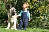 ENFANT ET CHIEN 598
